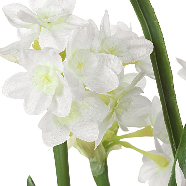 Uttermost Lacey Daffodil Accent Botanicals