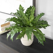 Uttermost Verdure Fern Botanicals