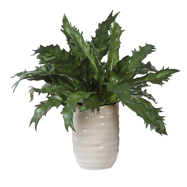 Uttermost Verdure Fern Botanicals