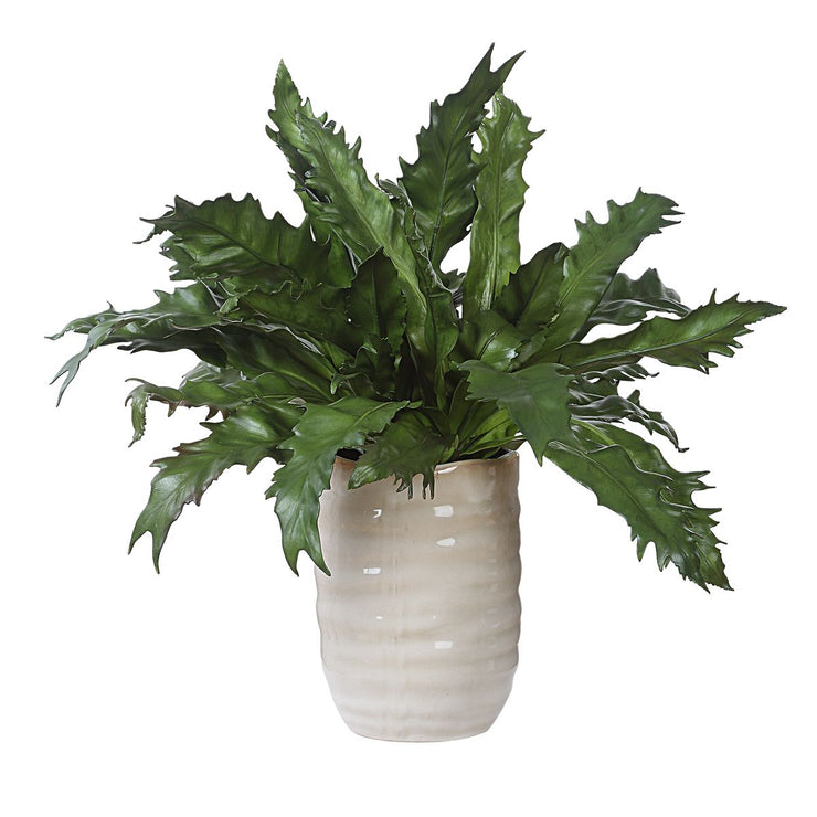 Uttermost Verdure Fern Botanicals