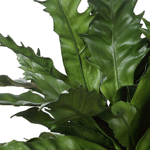 Uttermost Verdure Fern Botanicals
