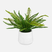 Uttermost Boston Fern Accent Botanicals