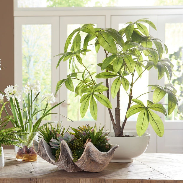 Uttermost Pachira Money Tree Botanicals