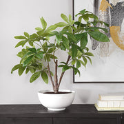 Uttermost Pachira Money Tree Botanicals
