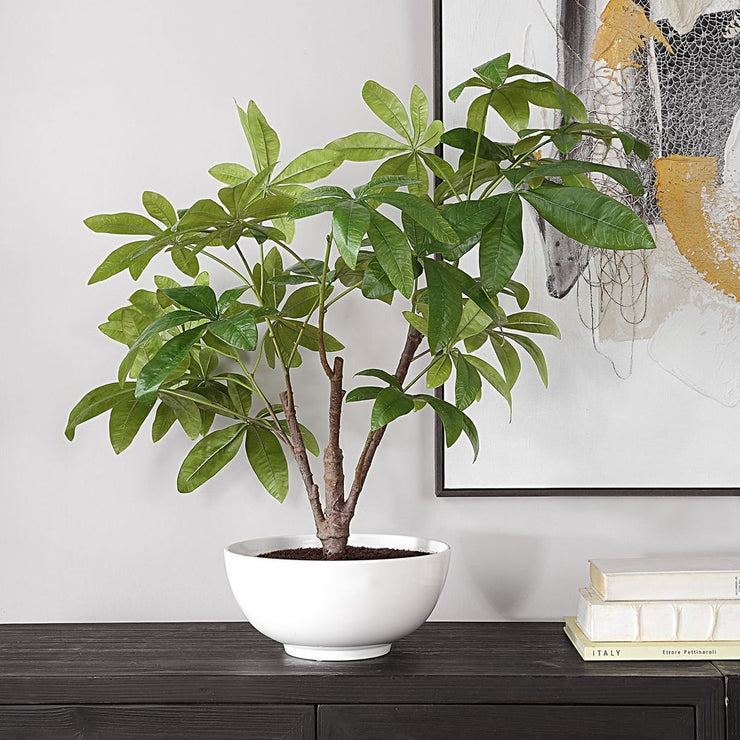 Uttermost Pachira Money Tree Botanicals