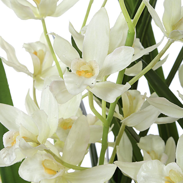 Uttermost Ariana Orchid Botanicals