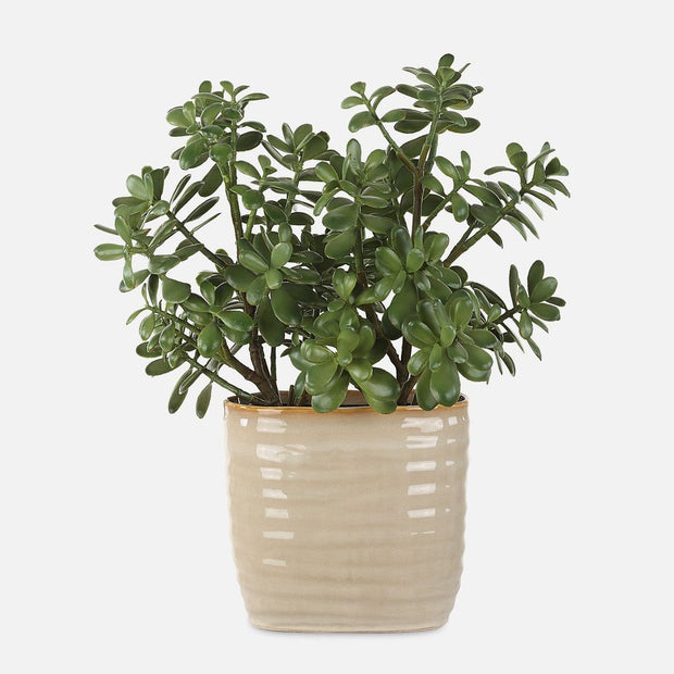 Uttermost Crassula Jade Accent Botanicals