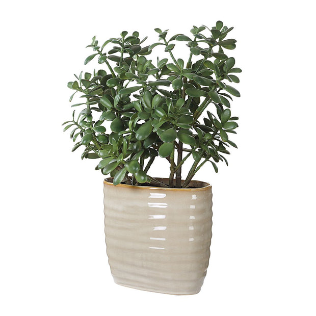 Uttermost Crassula Jade Accent Botanicals