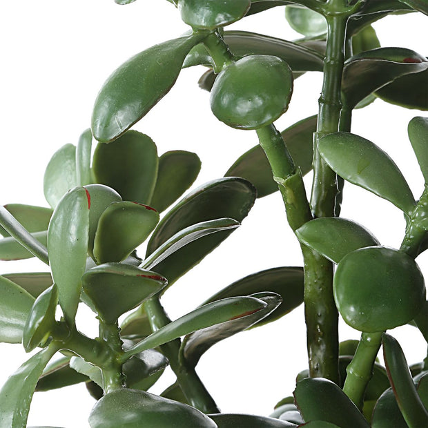 Uttermost Crassula Jade Accent Botanicals