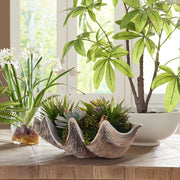 Uttermost Seaside Breeze Succulents Botanicals