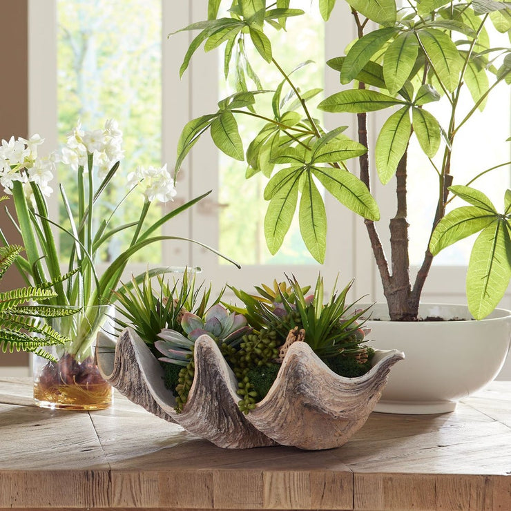 Uttermost Seaside Breeze Succulents Botanicals