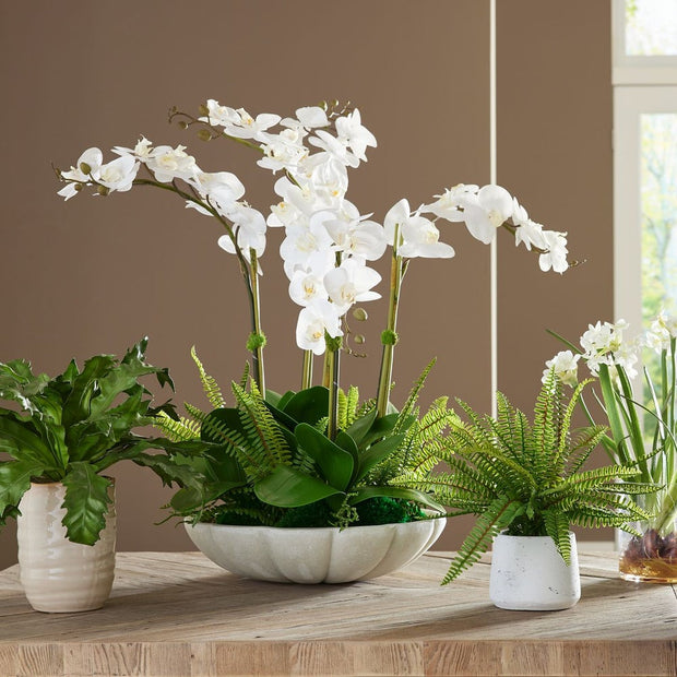 Uttermost Flourish Orchid Centerpiece Botanicals
