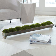 Uttermost Canal Moss Centerpiece, Large Botanicals