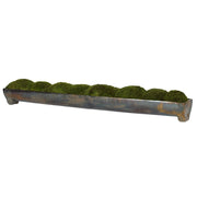 Uttermost Canal Moss Centerpiece, Large Botanicals