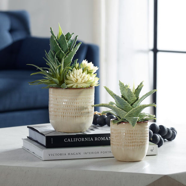 Uttermost Seaside Succulents, Set Of Two  Botanicals
