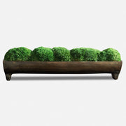 Uttermost Canal Moss Centerpiece, Small  Botanicals