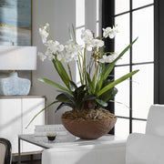 Uttermost Moth Orchid Planter Botanicals
