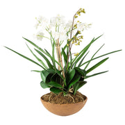 Uttermost Moth Orchid Planter Botanicals