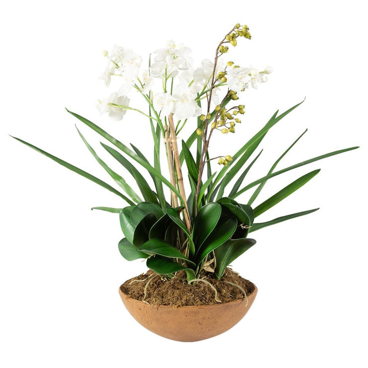 Uttermost Moth Orchid Planter Botanicals