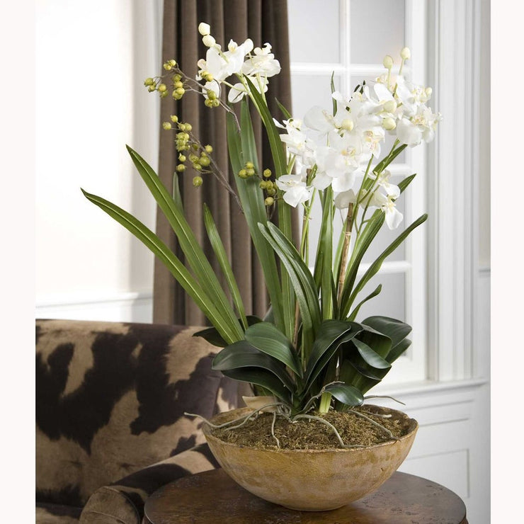 Uttermost Moth Orchid Planter Botanicals
