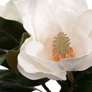 Uttermost Middleton Magnolia Centerpiece Botanicals
