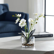 Uttermost Glory Orchid, White Botanicals