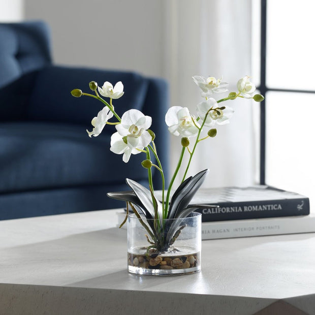Uttermost Glory Orchid, White Botanicals