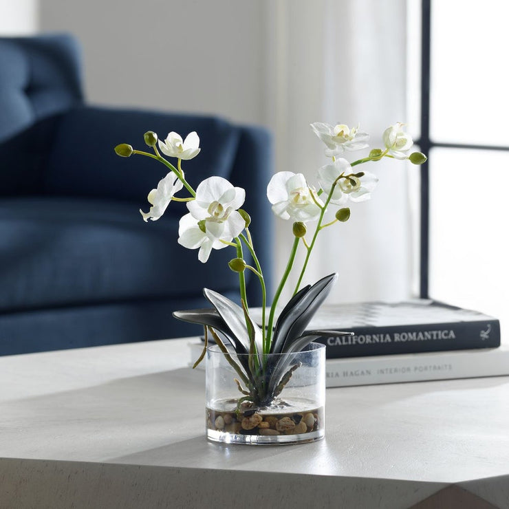 Uttermost Glory Orchid, White Botanicals
