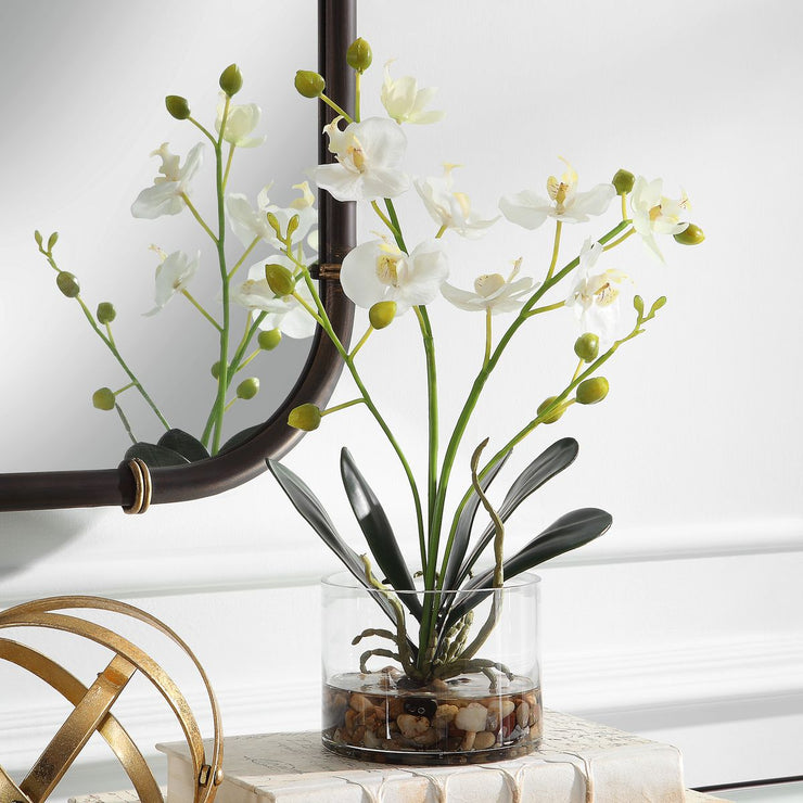Uttermost Glory Orchid, White Botanicals