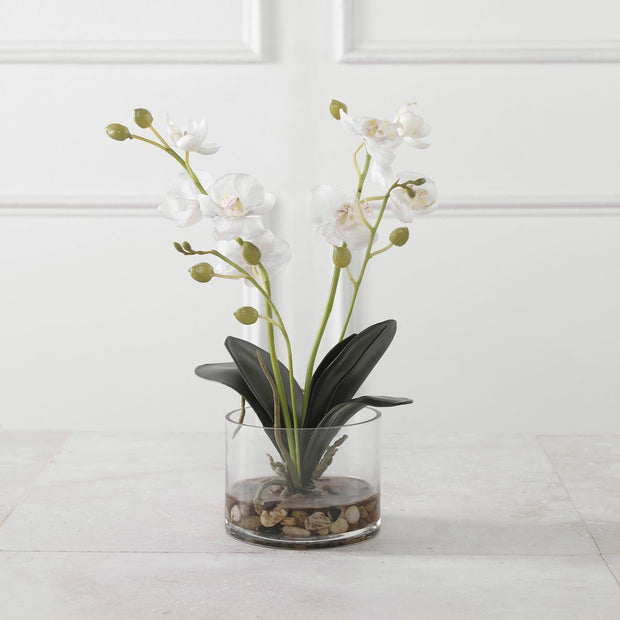 Uttermost Glory Orchid, White Botanicals