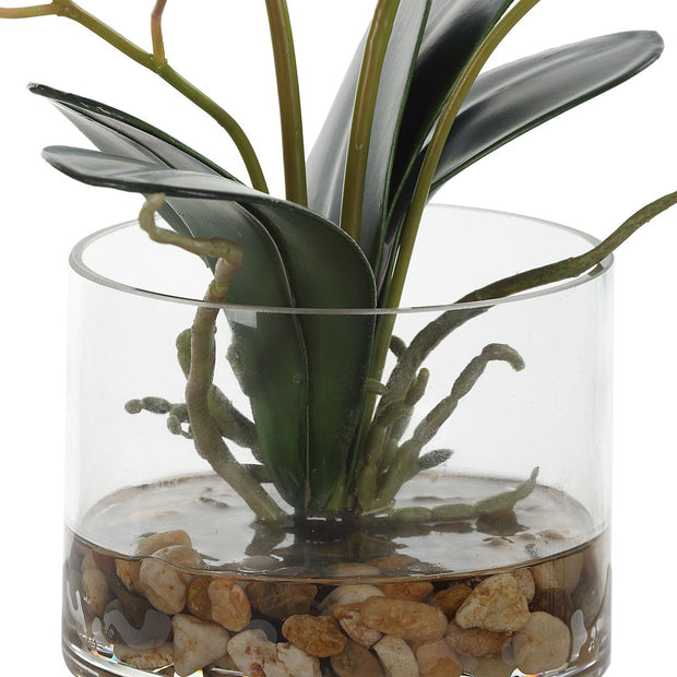Uttermost Glory Orchid, Fuschia Botanicals
