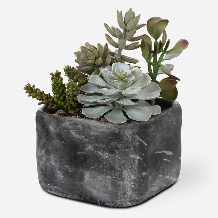 Uttermost Alverio Succulents Botanicals