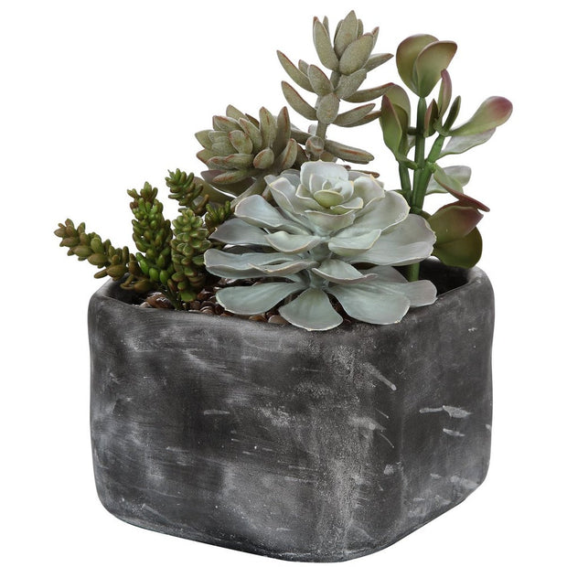 Uttermost Alverio Succulents Botanicals