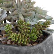 Uttermost Alverio Succulents Botanicals