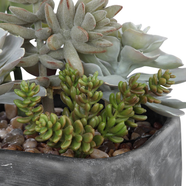 Uttermost Alverio Succulents Botanicals