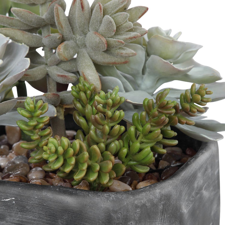 Uttermost Alverio Succulents Botanicals