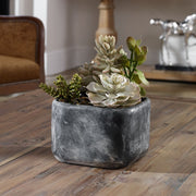 Uttermost Alverio Succulents Botanicals