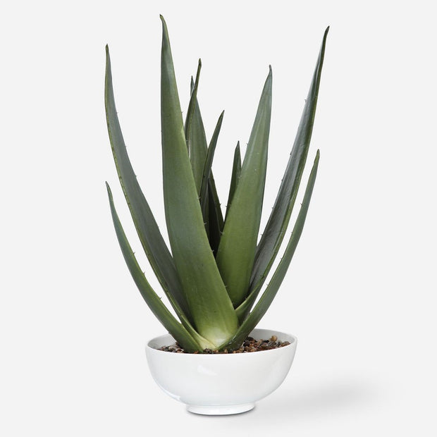 Uttermost Evarado Aloe Planter Botanicals