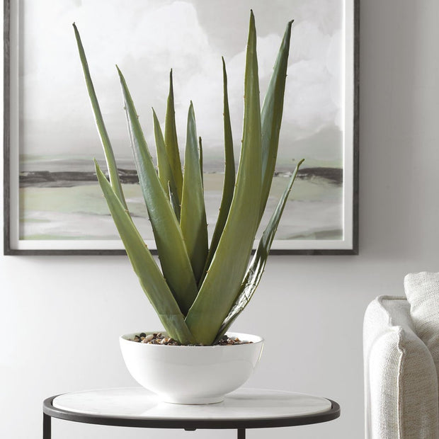 Uttermost Evarado Aloe Planter Botanicals