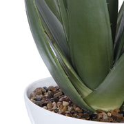 Uttermost Evarado Aloe Planter Botanicals