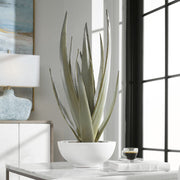 Uttermost Evarado Aloe Planter Botanicals