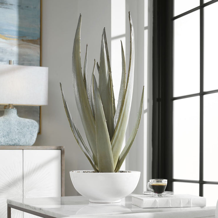 Uttermost Evarado Aloe Planter Botanicals