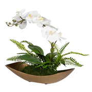 Uttermost Transcend Orchid Botanicals