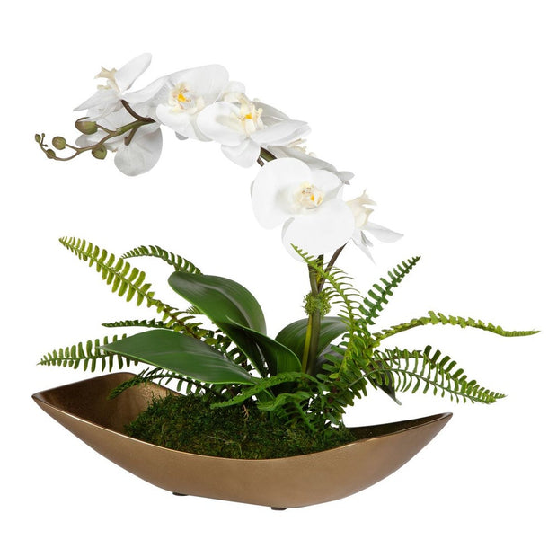 Uttermost Transcend Orchid Botanicals