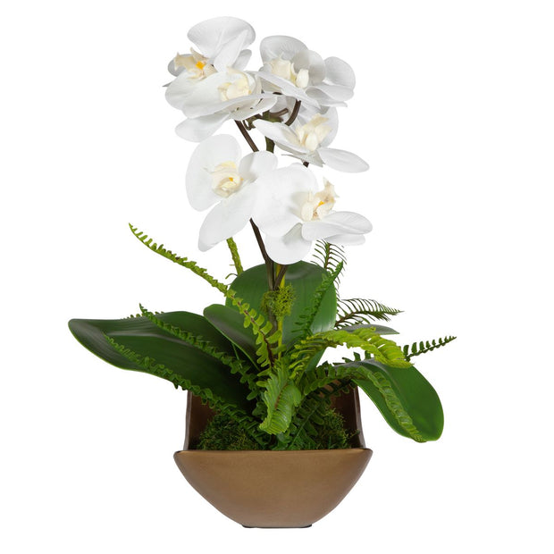 Uttermost Transcend Orchid Botanicals