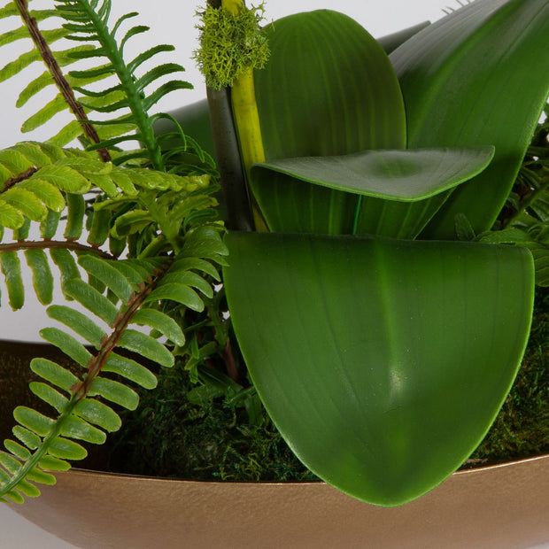 Uttermost Transcend Orchid Botanicals