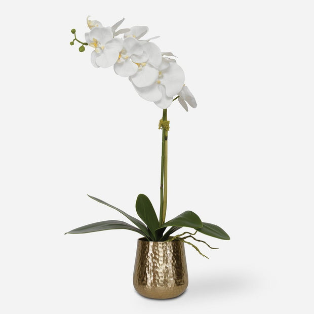 Uttermost Cami Orchid, Brass Botanicals