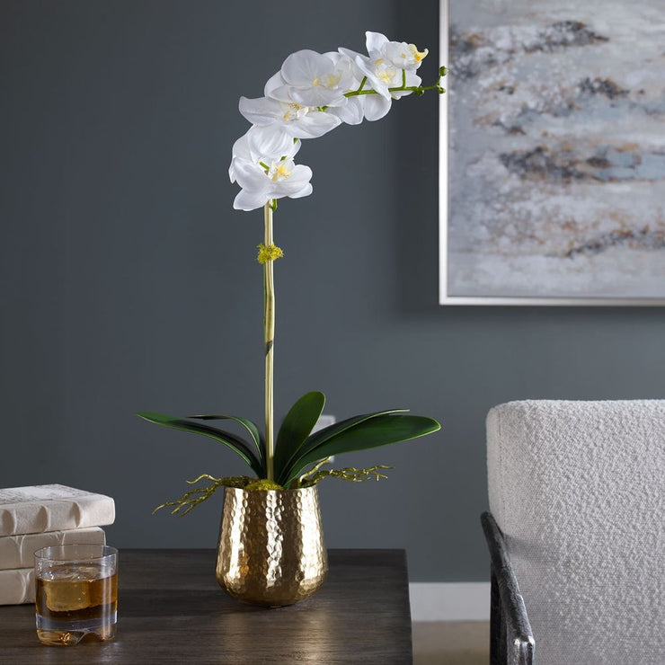 Uttermost Cami Orchid, Brass Botanicals