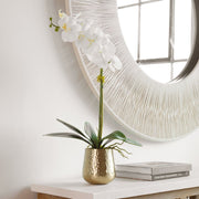 Uttermost Cami Orchid, Brass Botanicals