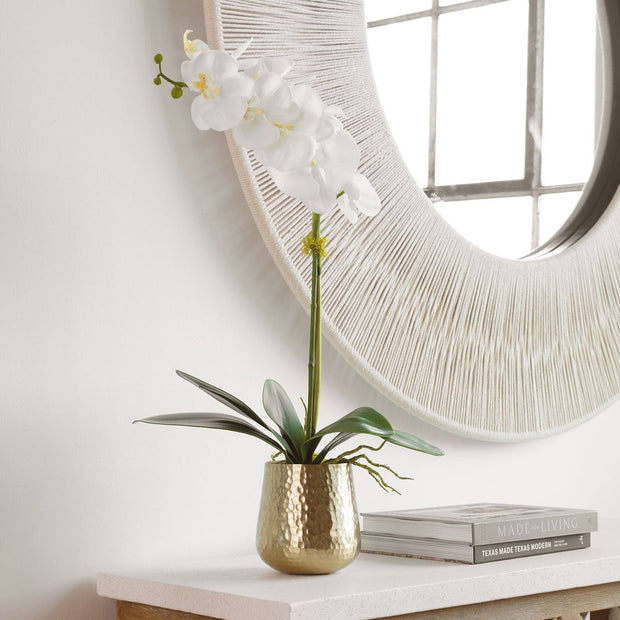 Uttermost Cami Orchid, Brass Botanicals